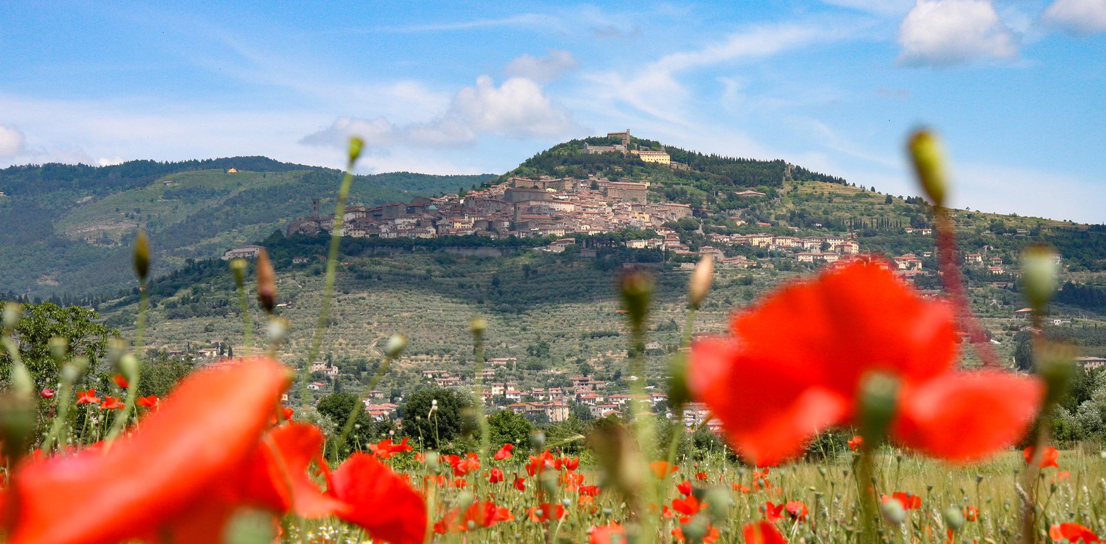 Cosa vedere a Cortona- Ristorante Organika